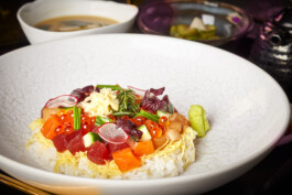 JAN C. BRETTSCHNEIDER