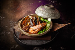 JAN C. BRETTSCHNEIDER