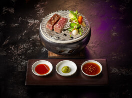 JAN C. BRETTSCHNEIDER