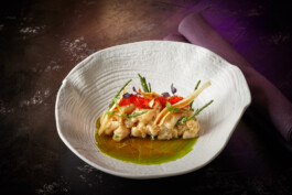 JAN C. BRETTSCHNEIDER