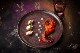 JAN C. BRETTSCHNEIDER