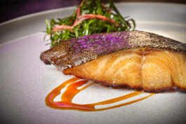 JAN C. BRETTSCHNEIDER