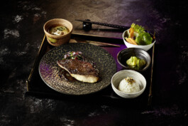 JAN C. BRETTSCHNEIDER