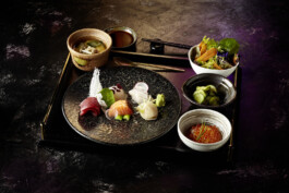 JAN C. BRETTSCHNEIDER