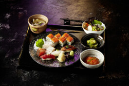 JAN C. BRETTSCHNEIDER