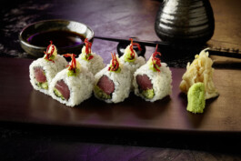 JAN C. BRETTSCHNEIDER