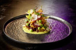 JAN C. BRETTSCHNEIDER