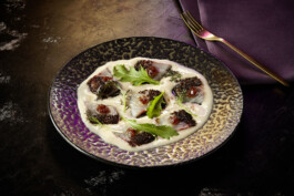 JAN C. BRETTSCHNEIDER