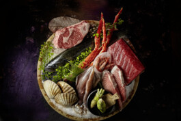 JAN C. BRETTSCHNEIDER