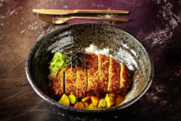 JAN C. BRETTSCHNEIDER