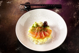 JAN C. BRETTSCHNEIDER