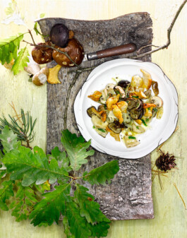 JAN C. BRETTSCHNEIDER