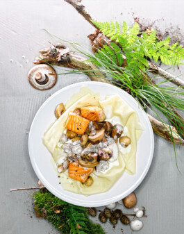 JAN C. BRETTSCHNEIDER