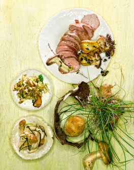 JAN C. BRETTSCHNEIDER