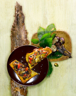 JAN C. BRETTSCHNEIDER