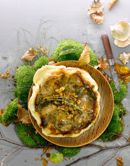 JAN C. BRETTSCHNEIDER