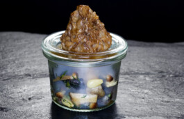 JAN C. BRETTSCHNEIDER