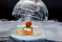 JAN C. BRETTSCHNEIDER