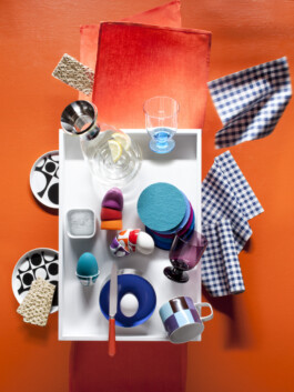 JAN C. BRETTSCHNEIDER