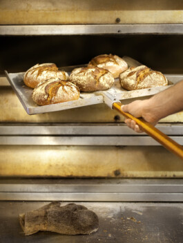 JAN C. BRETTSCHNEIDER