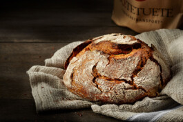 JAN C. BRETTSCHNEIDER