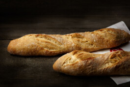 JAN C. BRETTSCHNEIDER