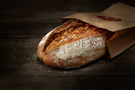 JAN C. BRETTSCHNEIDER