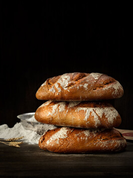 JAN C. BRETTSCHNEIDER