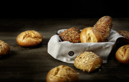 JAN C. BRETTSCHNEIDER