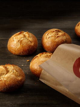 JAN C. BRETTSCHNEIDER