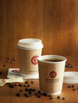 JAN C. BRETTSCHNEIDER