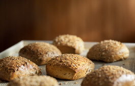 JAN C. BRETTSCHNEIDER