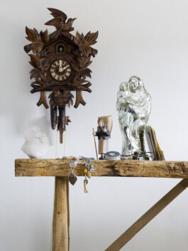 JAN C. BRETTSCHNEIDER