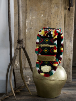 JAN C. BRETTSCHNEIDER