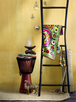 JAN C. BRETTSCHNEIDER