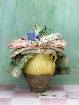 JAN C. BRETTSCHNEIDER