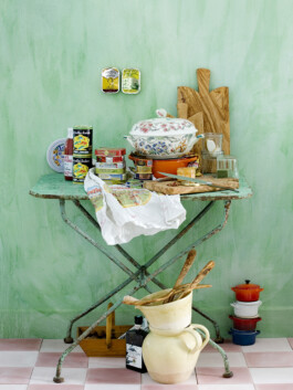 JAN C. BRETTSCHNEIDER