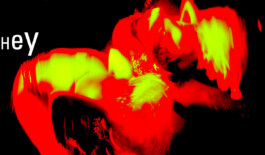 JAN C. BRETTSCHNEIDER