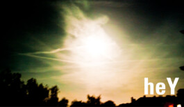 JAN C. BRETTSCHNEIDER