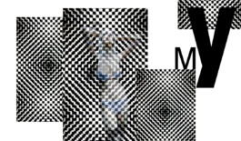 JAN C. BRETTSCHNEIDER