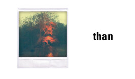 JAN C. BRETTSCHNEIDER