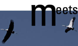 JAN C. BRETTSCHNEIDER