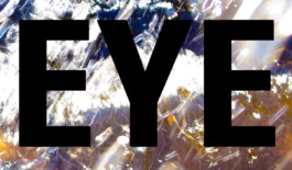 JAN C. BRETTSCHNEIDER