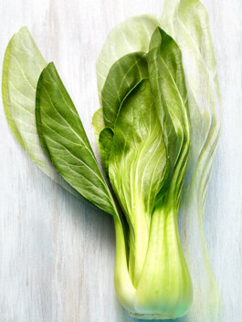 JAN C. BRETTSCHNEIDER