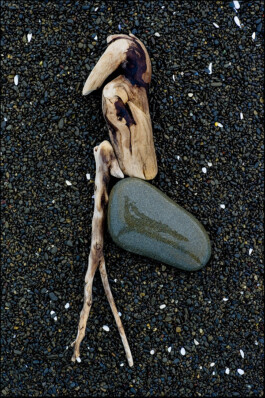 JAN C. BRETTSCHNEIDER