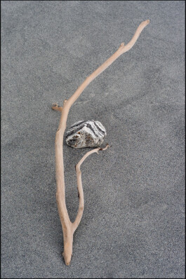 JAN C. BRETTSCHNEIDER