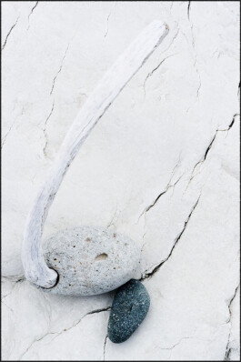 JAN C. BRETTSCHNEIDER