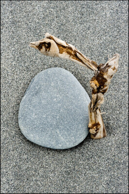 JAN C. BRETTSCHNEIDER