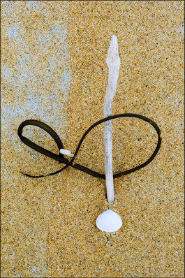 JAN C. BRETTSCHNEIDER