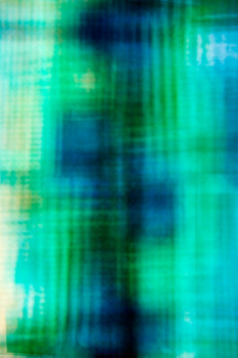 JAN C. BRETTSCHNEIDER